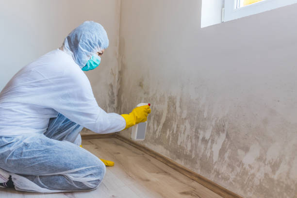 Crawl Space Mold Remediation treatment of floor joists in Buffalo Mills